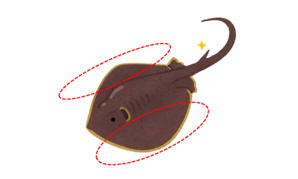 おつまみメニューで見かける エイヒレ とはなに エイのどこの部分なのか解説 うたかたの日々