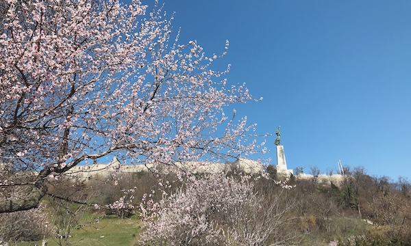春のゲッレールトの丘を散策してきた@ハンガリー・ブダペスト