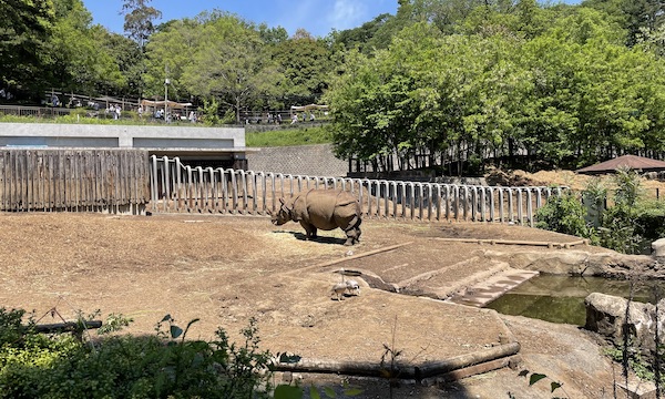 1歳の子どもと行く！東京・京王線周辺のおでかけ・遊び場スポット情報〜1歳前後の娘とのおでかけ記録〜多摩動物公園