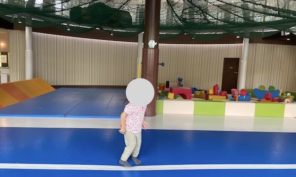 3歳0歳と過ごす夏休み！お出かけ先の記録とレビュー