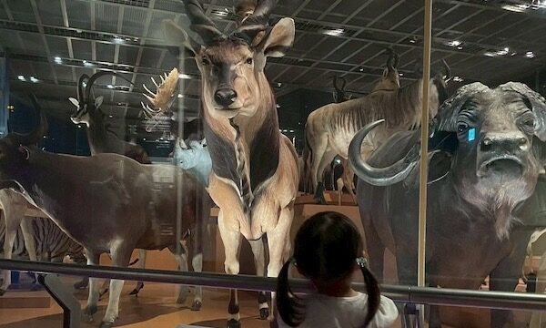 3歳0歳と過ごす夏休み！お出かけ先の記録とレビュー